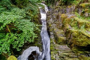 Photography by Malcolm J Smith