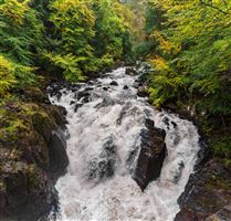Black Linn Falls, The Hermitage by Dunkeld
Autumn 2023