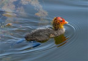 Photography by Malcolm J Smith