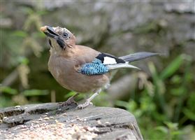 Photography by Malcolm J Smith