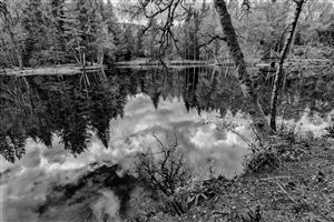 Photography by Malcolm J Smith