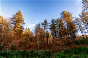 Photography by Malcolm J Smith