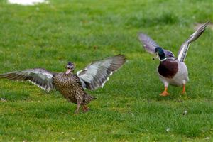 Photography by Malcolm J Smith