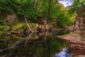 Shot along the River North Esk on the 