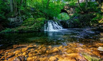 Photography by Malcolm J Smith