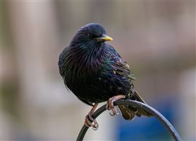 Photography by Malcolm J Smith