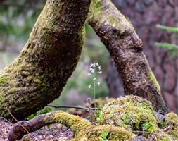 Photography by Malcolm J Smith