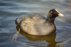 Photography by Malcolm J Smith