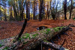 Photography by Malcolm J Smith