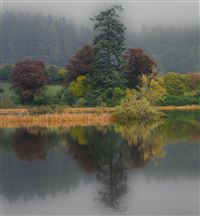 Autumn in Perthshire Woodlands
Photography by Malcolm J Smith