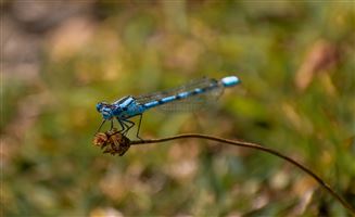 Photography by Malcolm J Smith