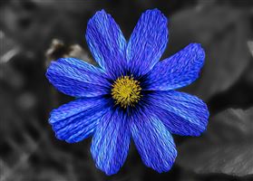 Photography by Malcolm J Smith