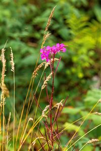 Photography by Malcolm J Smith