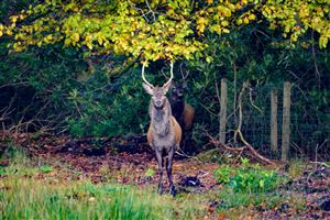 Photography by Malcolm J Smith