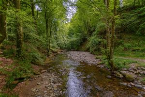 Photography by Malcolm J Smith