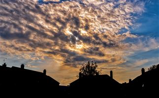 Sunset over the skyline from my garden.

Photography by Malcolm J Smith