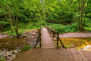 Photography by Malcolm J Smith