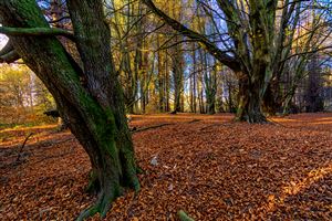Photography by Malcolm J Smith