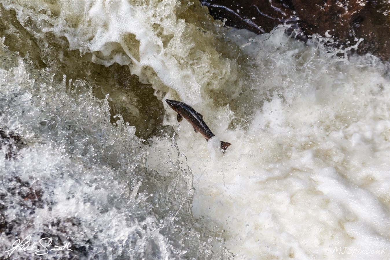 Photography by Malcolm J Smith