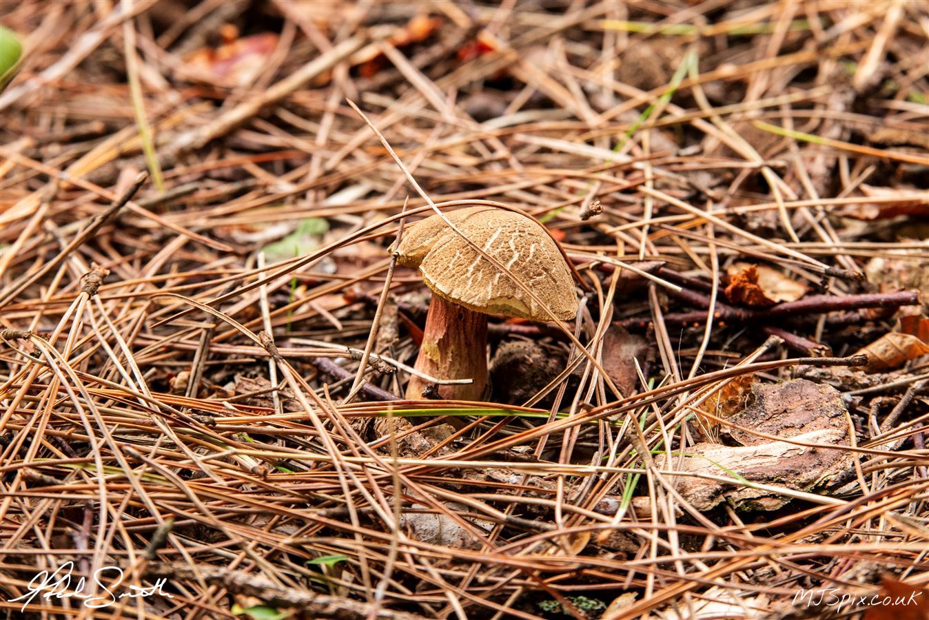Photography by Malcolm J Smith
