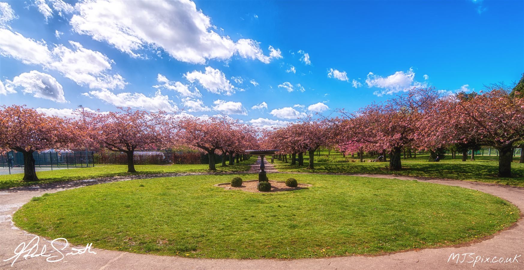 Blue Skies and Cherry Blossom
Photography by Malcolm J Smith