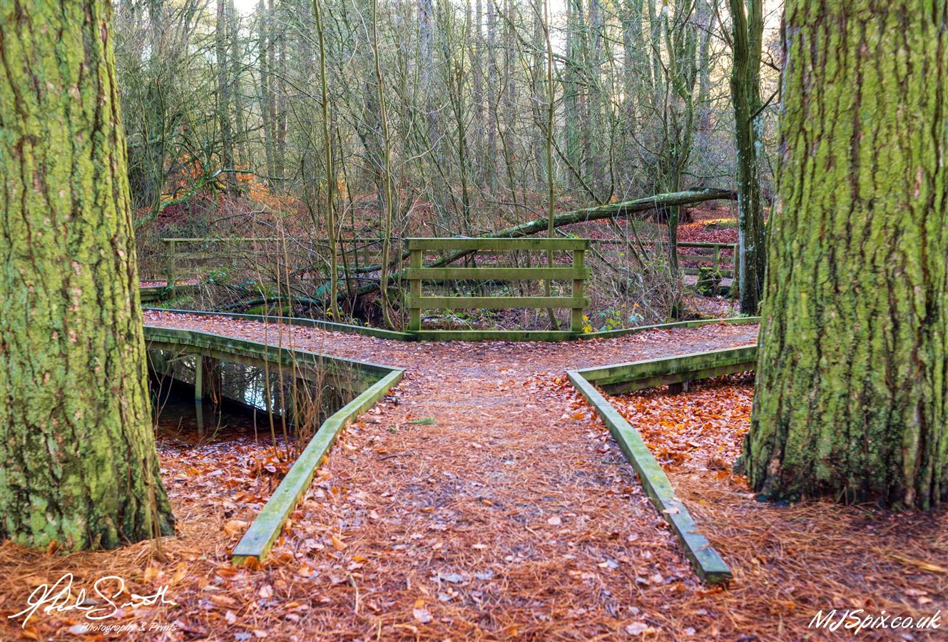 Photography by Malcolm J Smith