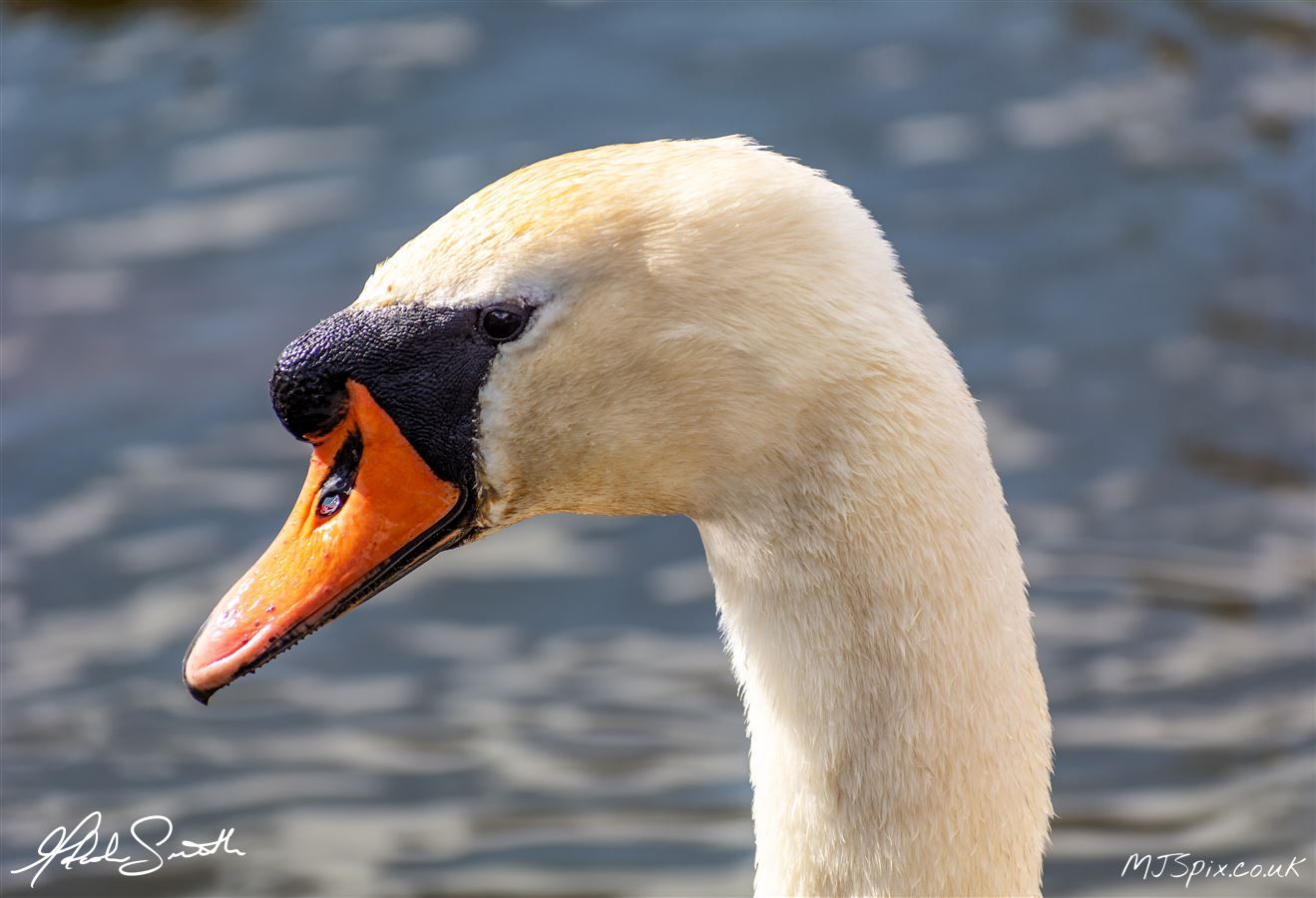 Photography by Malcolm J Smith