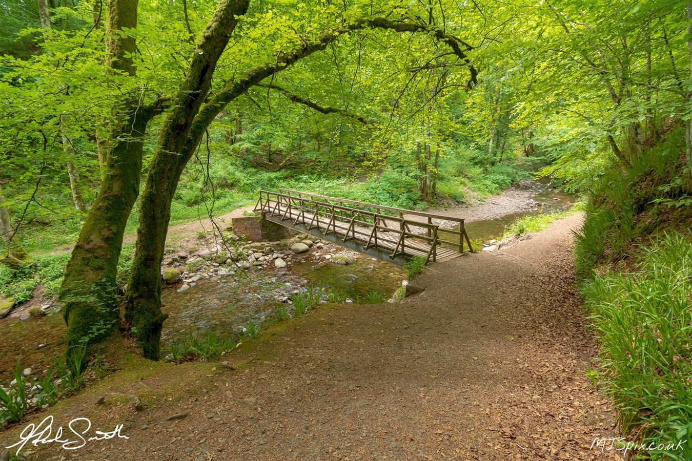 Photography by Malcolm J Smith