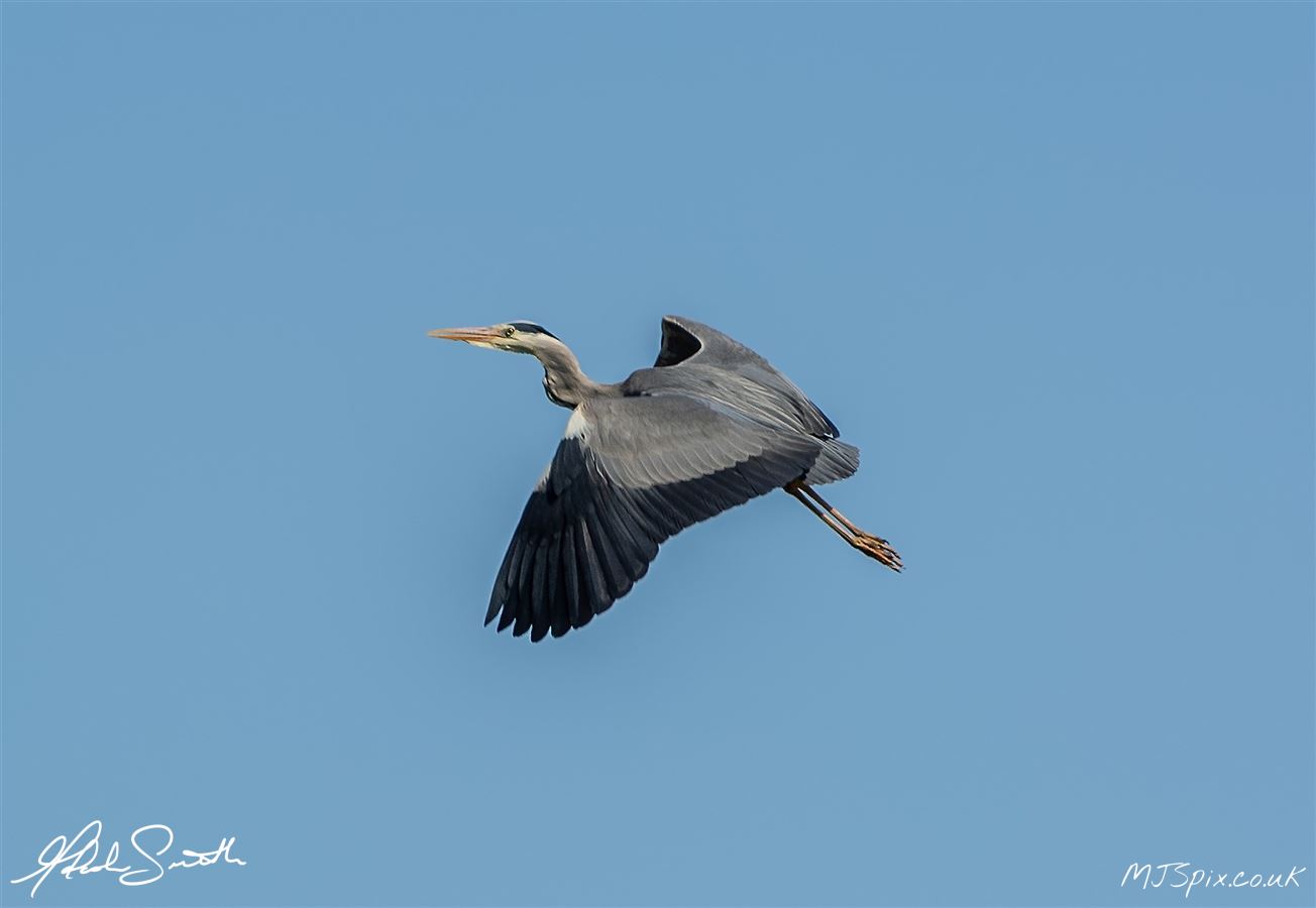 Photography by Malcolm J Smith