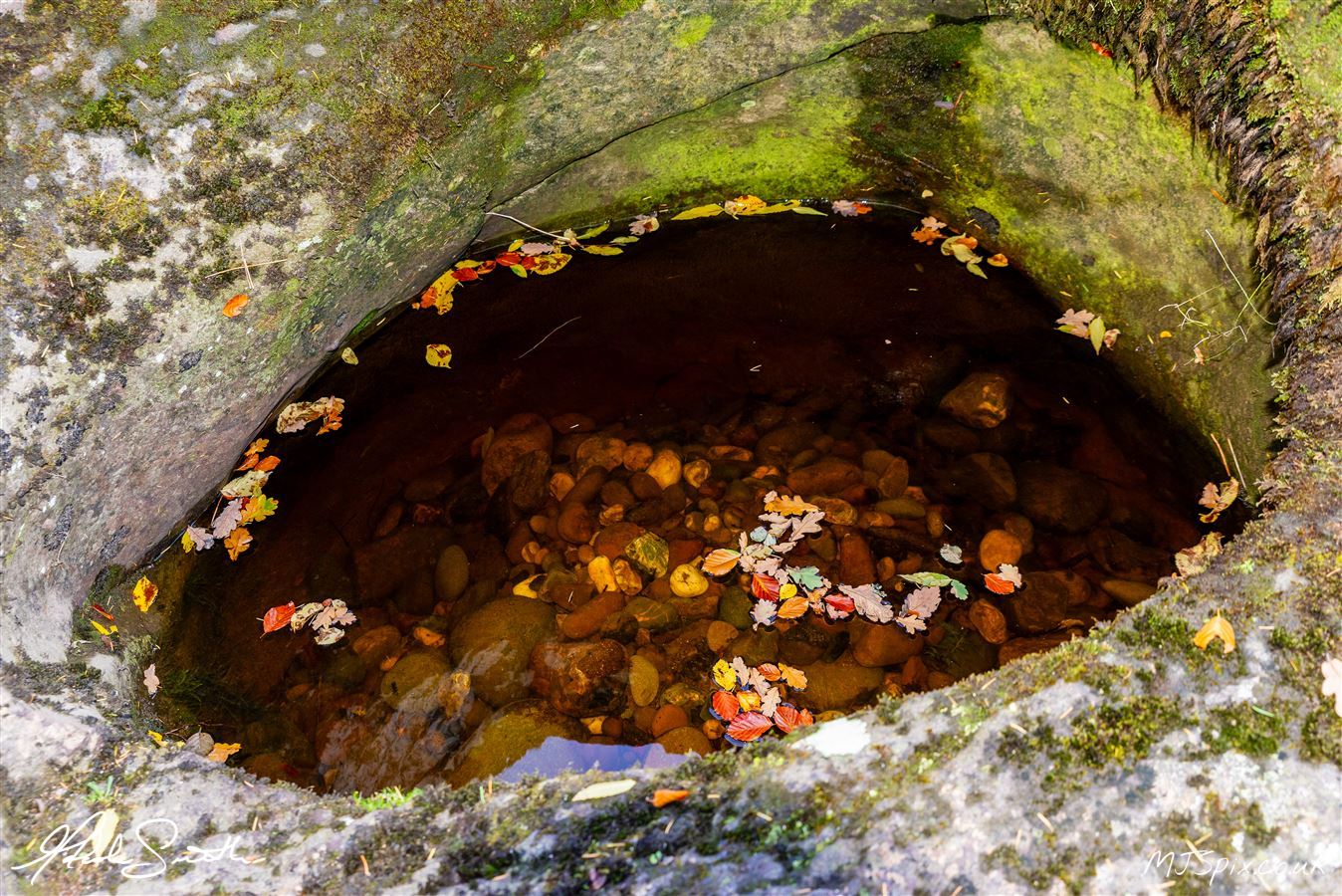 Photography by Malcolm J Smith