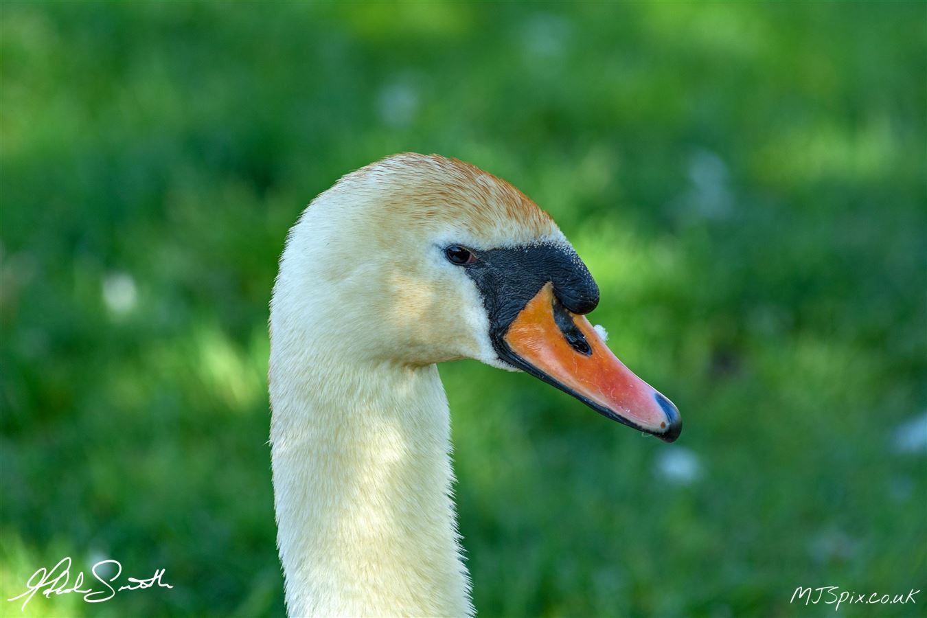 Photography by Malcolm J Smith