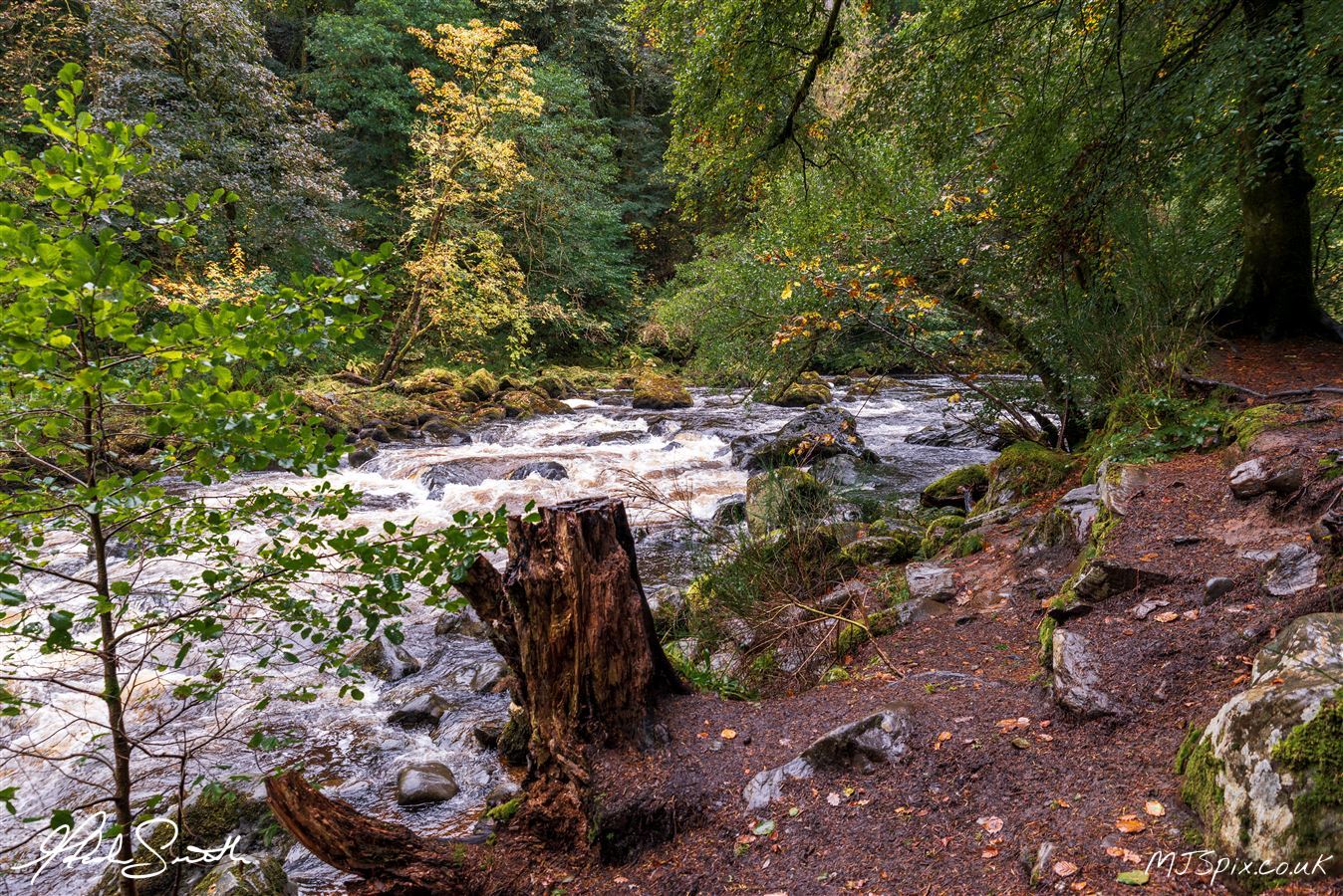 Photography by Malcolm J Smith
