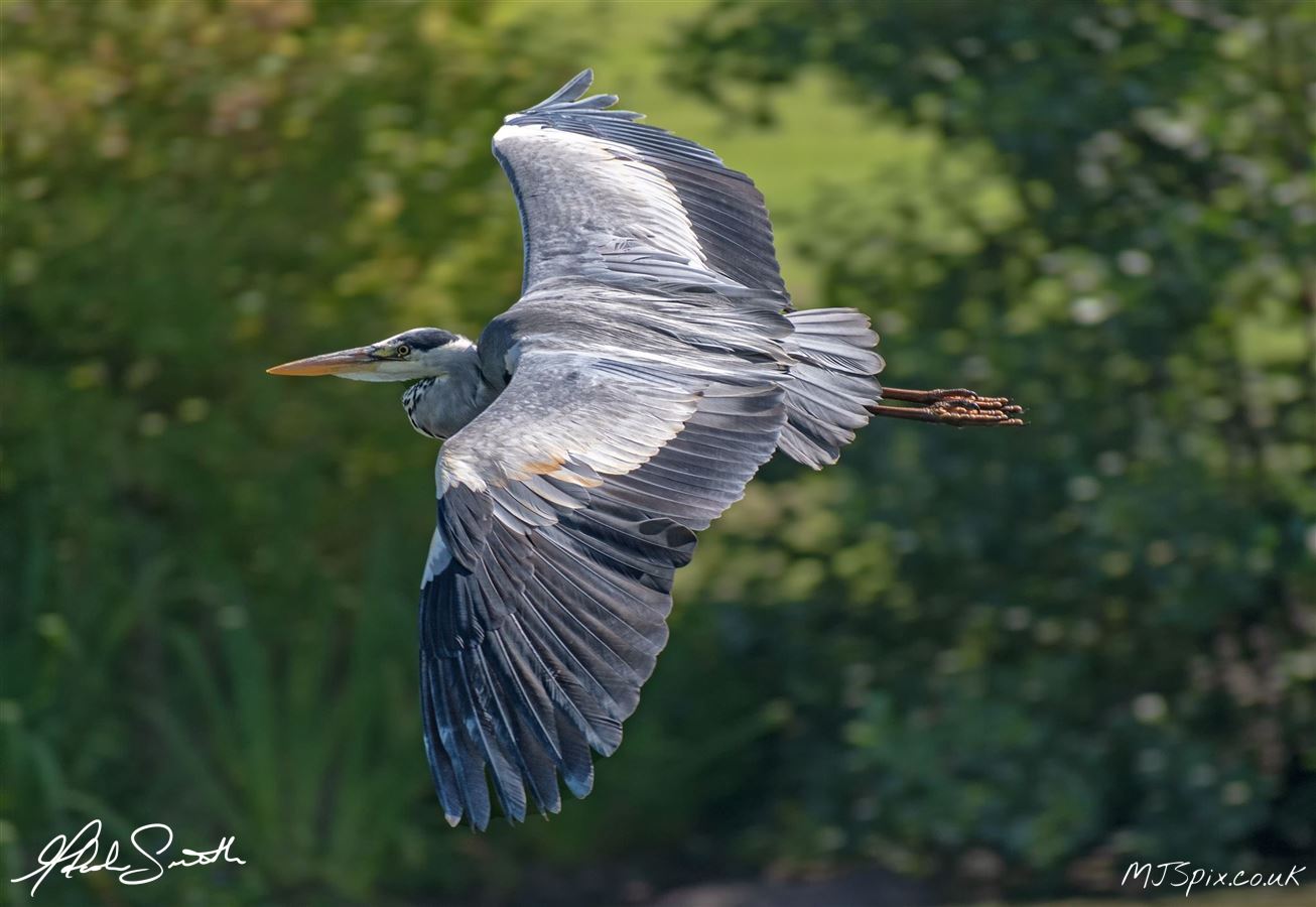 Photography by Malcolm J Smith