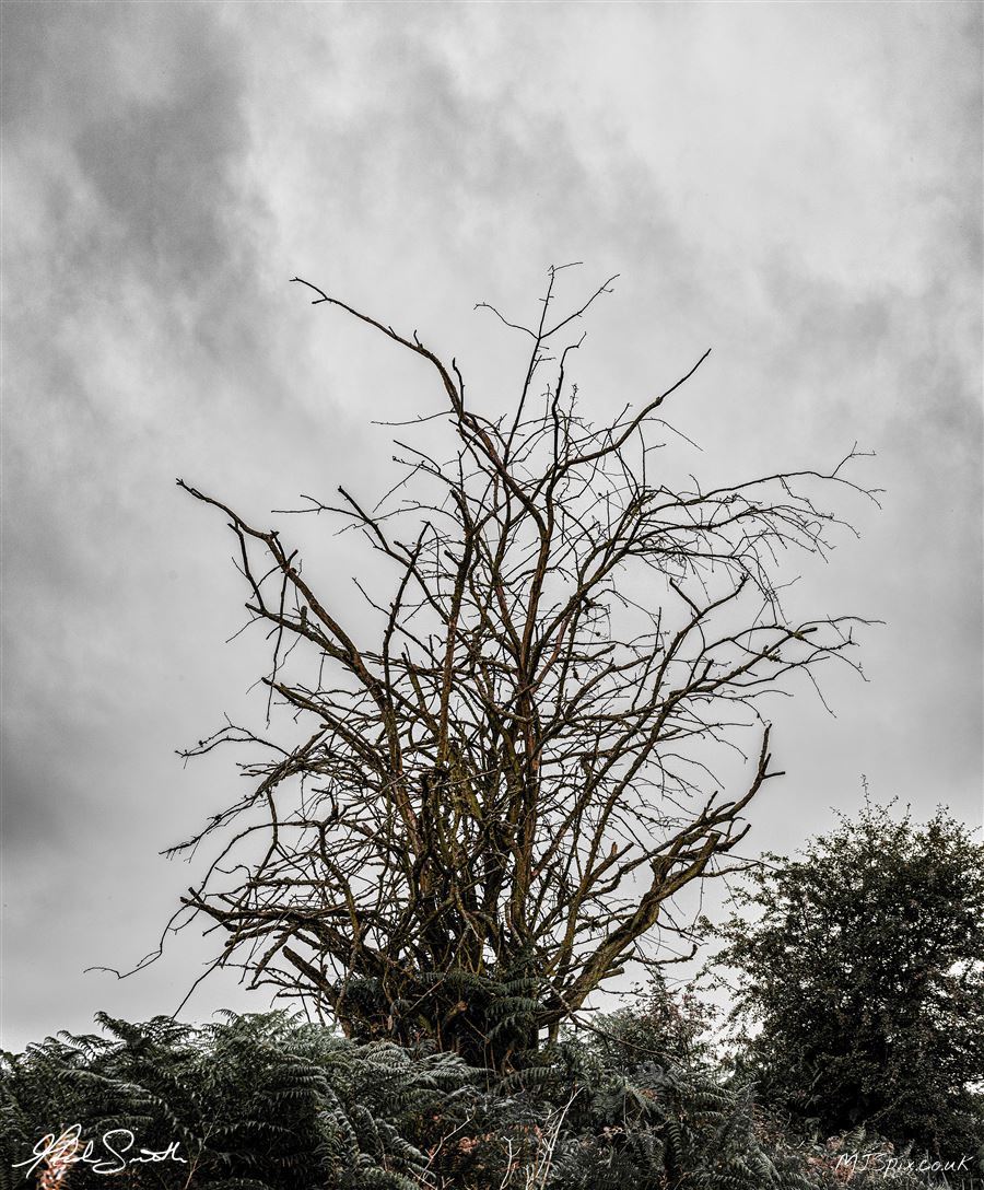 Photography by Malcolm J Smith