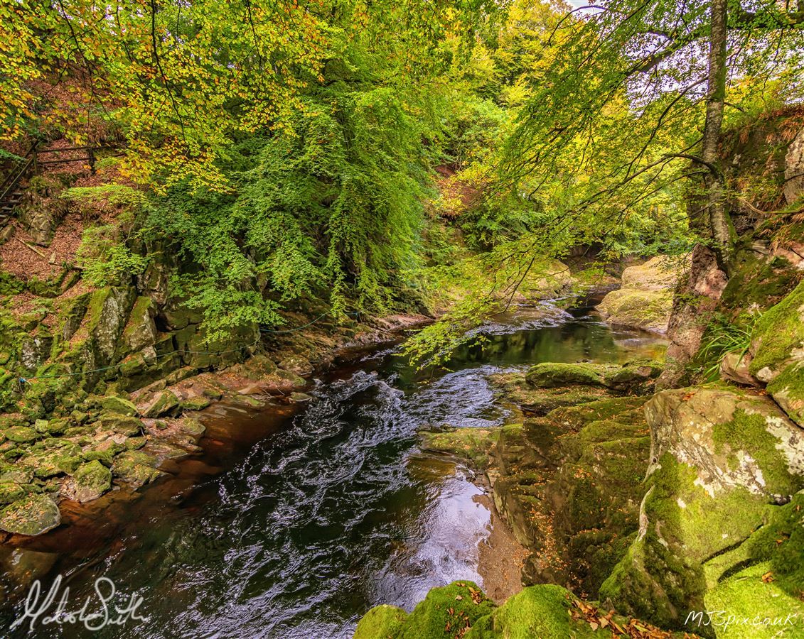 Shot along the River North Esk on the 