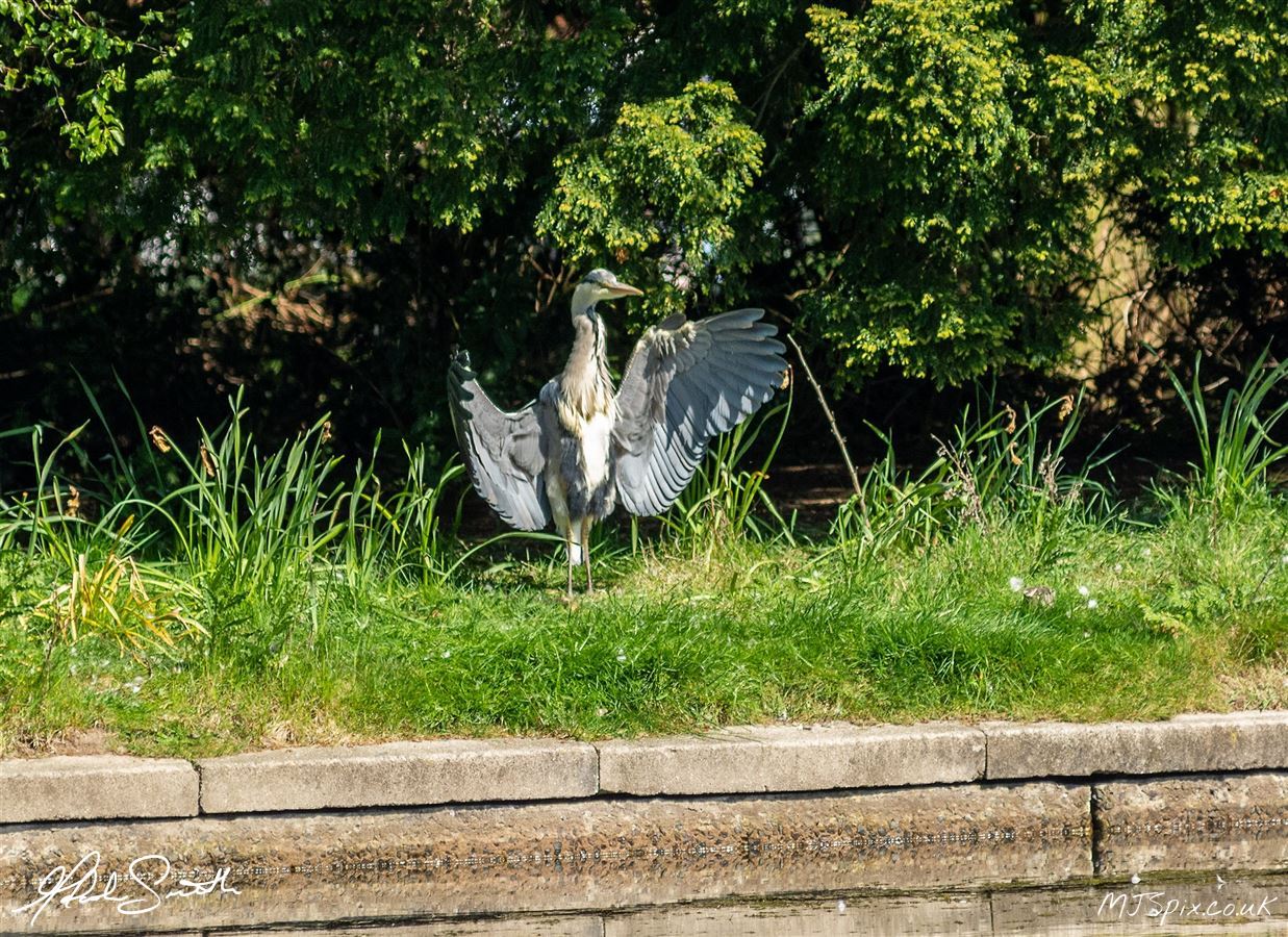 Photography by Malcolm J Smith