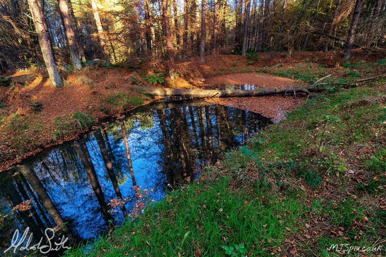 Photography by Malcolm J Smith