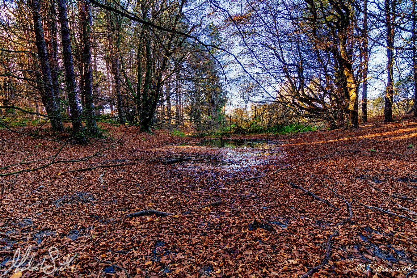 Photography by Malcolm J Smith