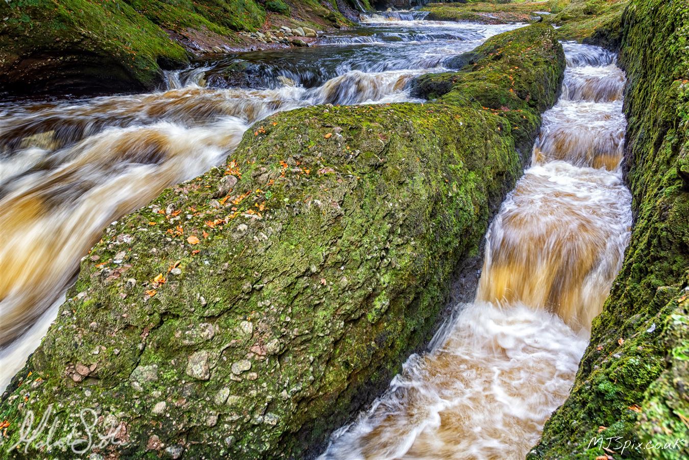Shot along the River North Esk on the 