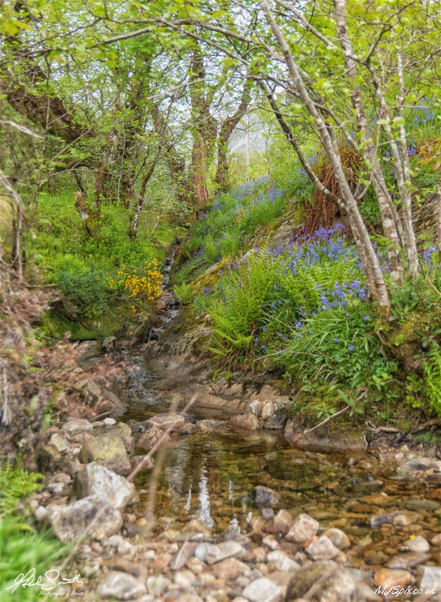 Gem of a spot on the River Orchy

Photography by Malcolm J Smith