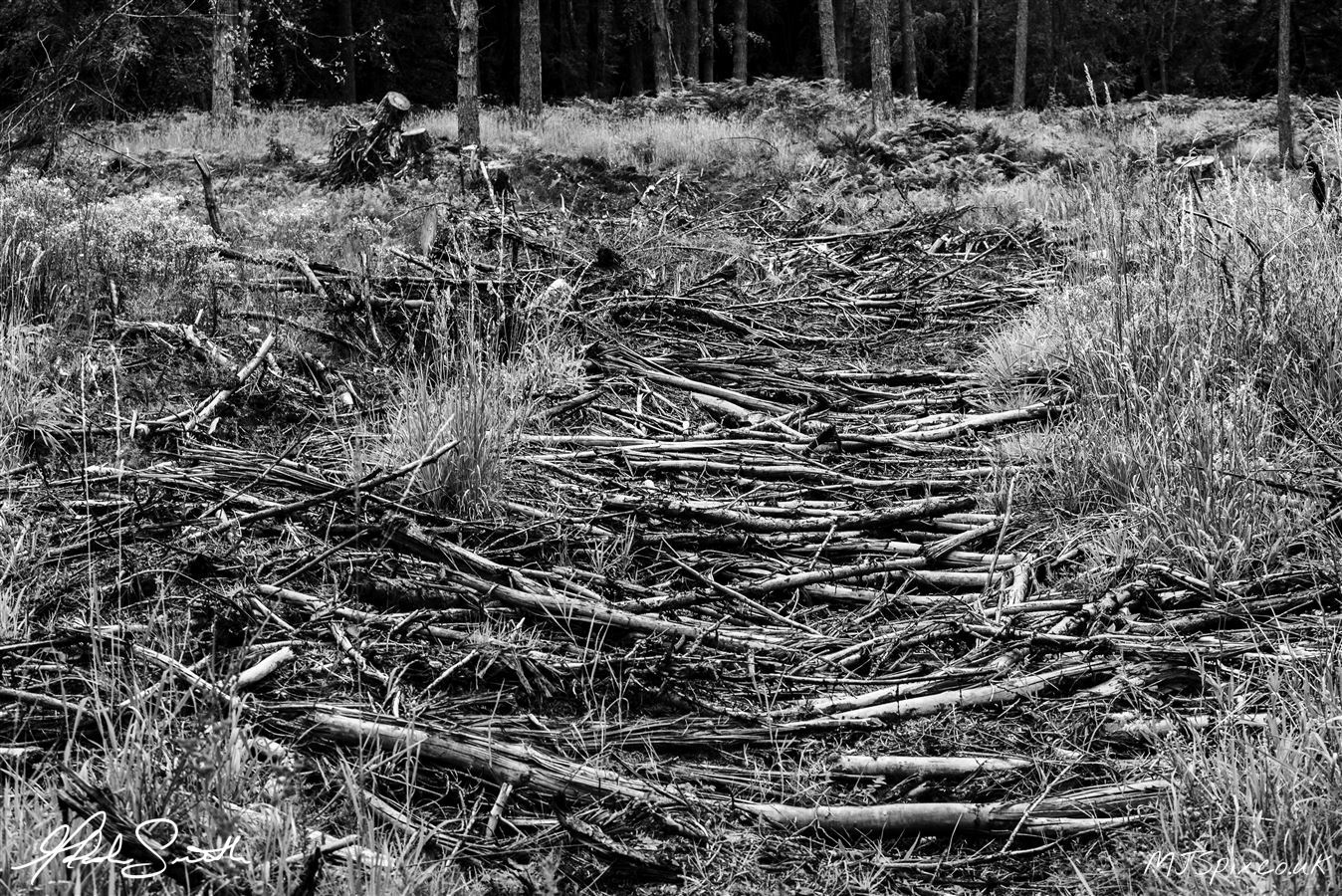 Photography by Malcolm J Smith