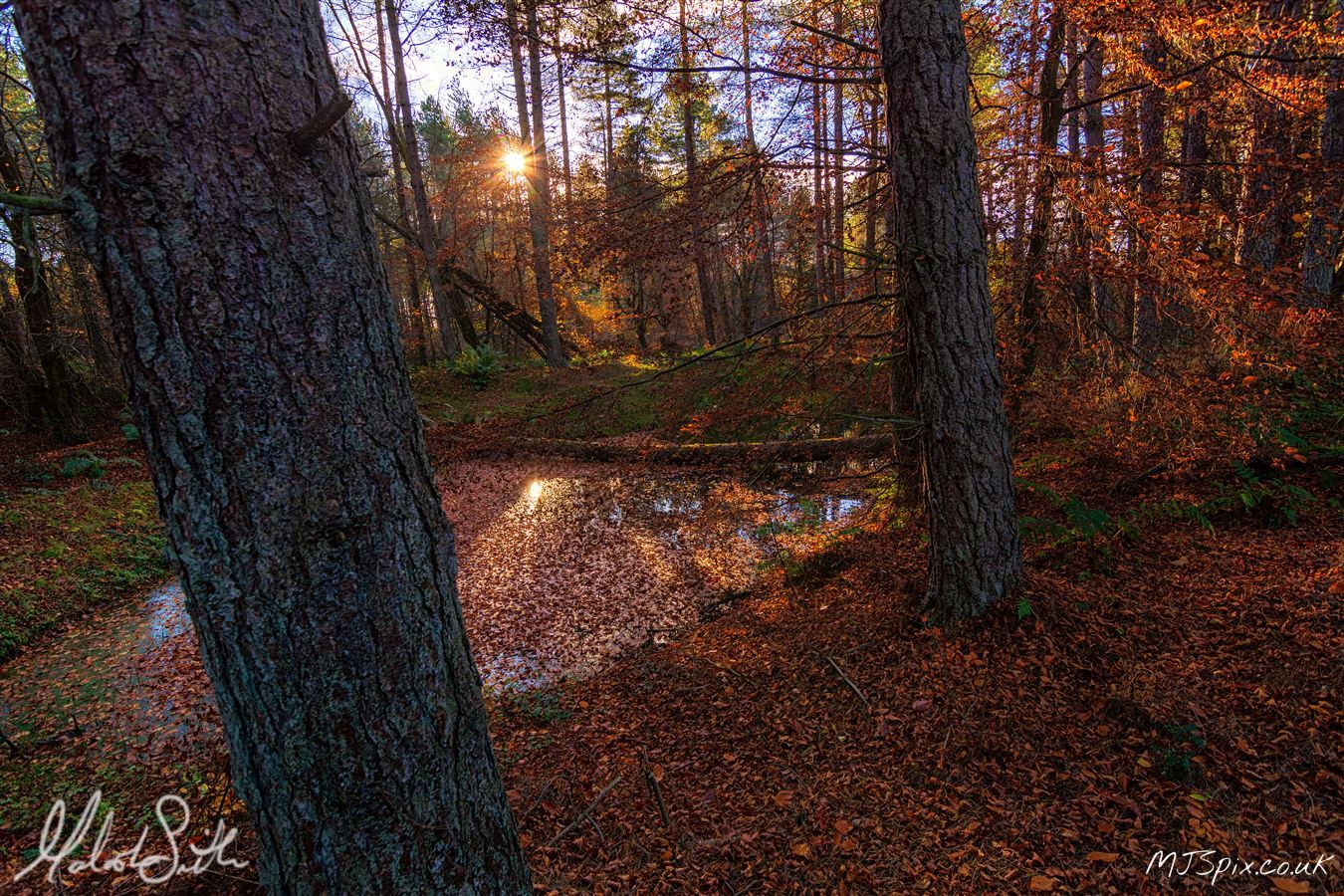 Photography by Malcolm J Smith
