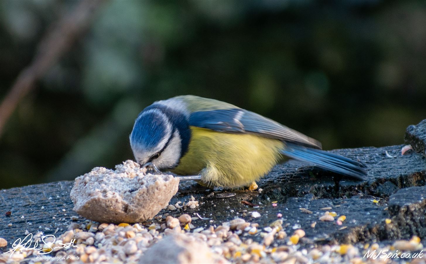 Photography by Malcolm J Smith