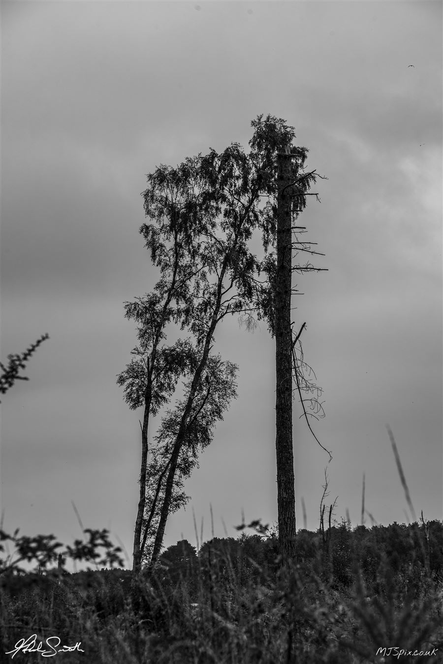 Photography by Malcolm J Smith
