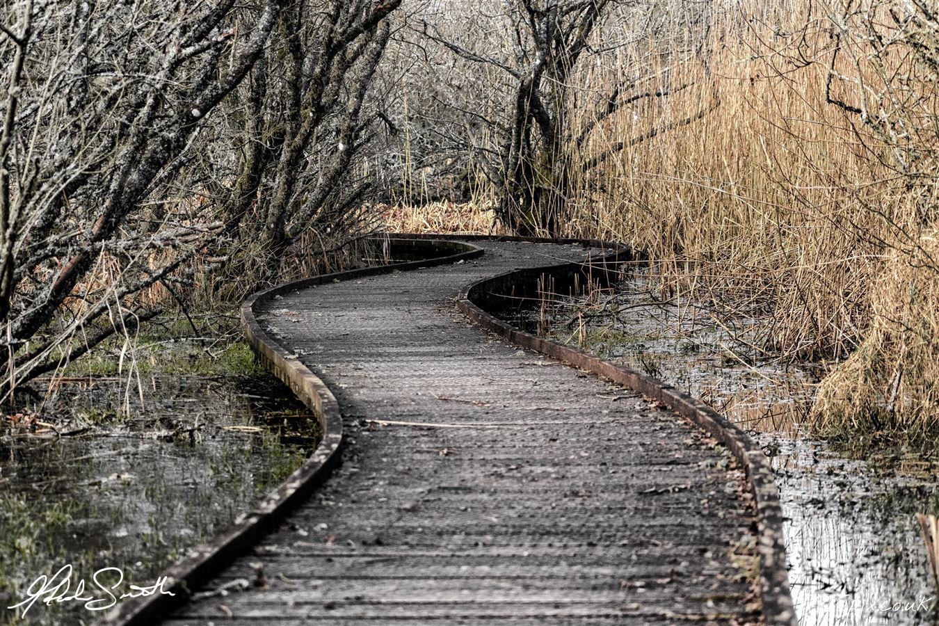 Wooden walkway at Loch of Kinnordy
Photography by Malcolm J Smith