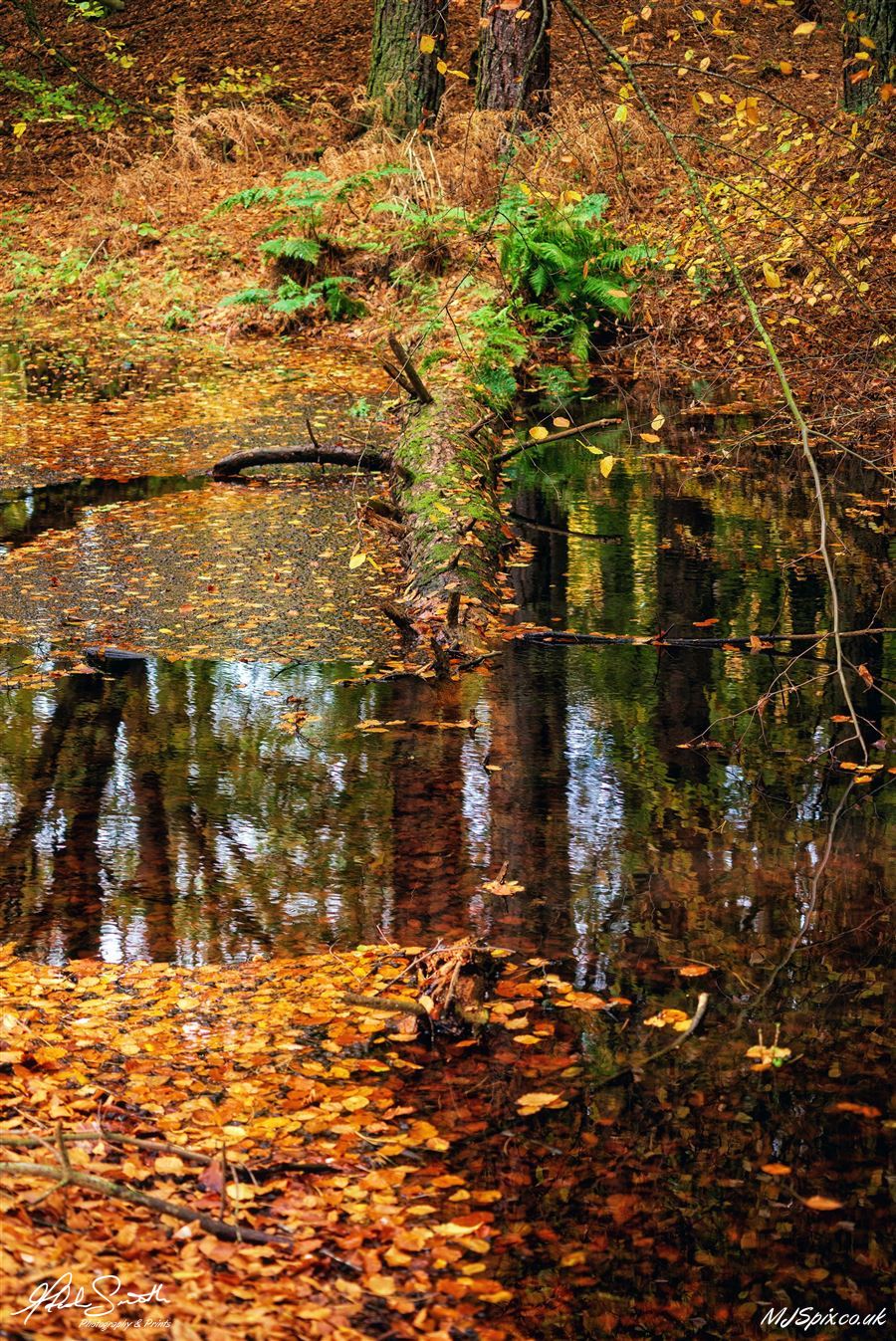 Photography by Malcolm J Smith