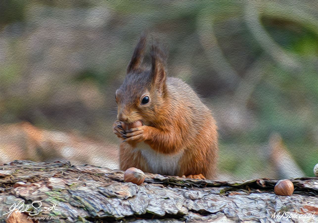 Photography by Malcolm J Smith