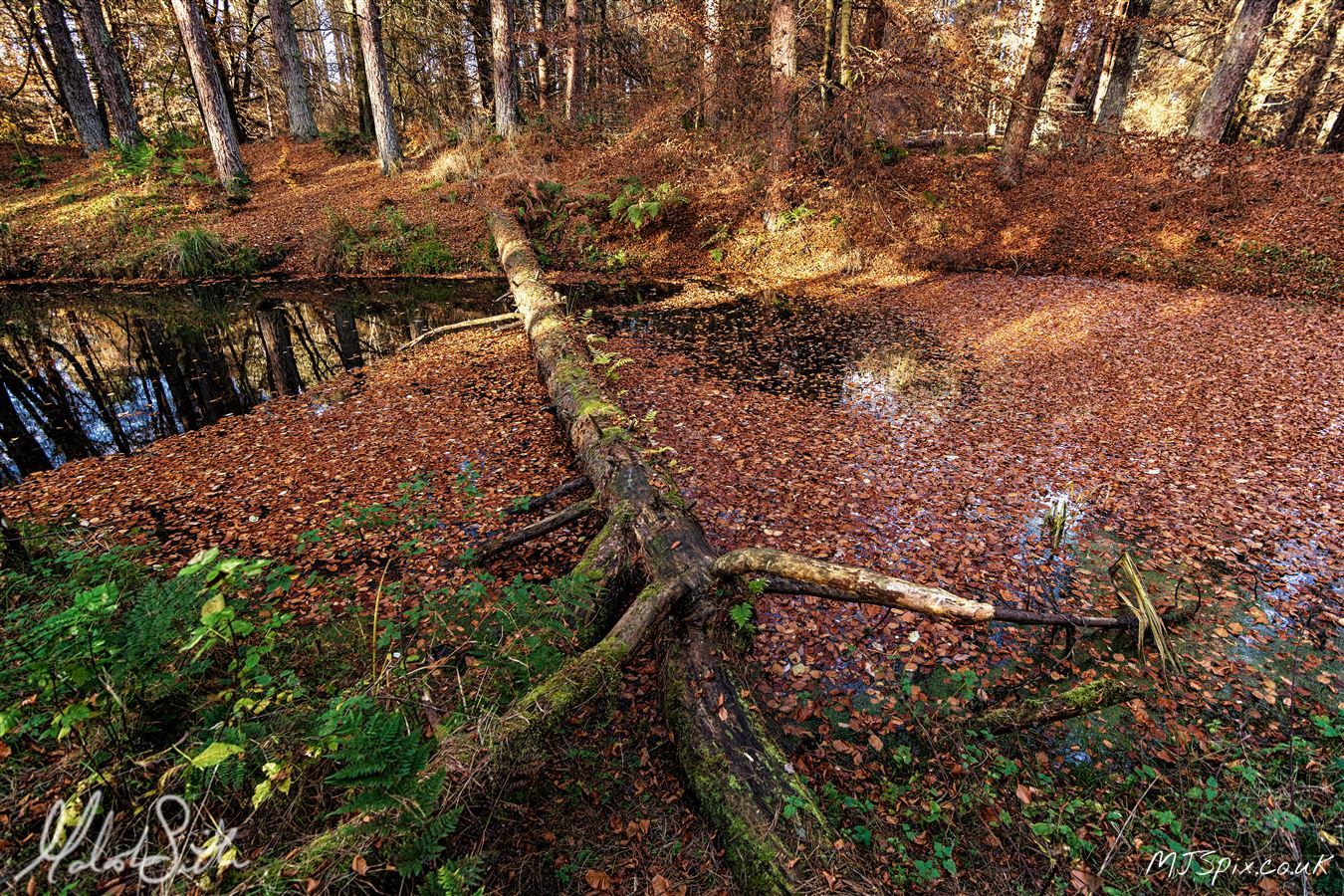 Photography by Malcolm J Smith
