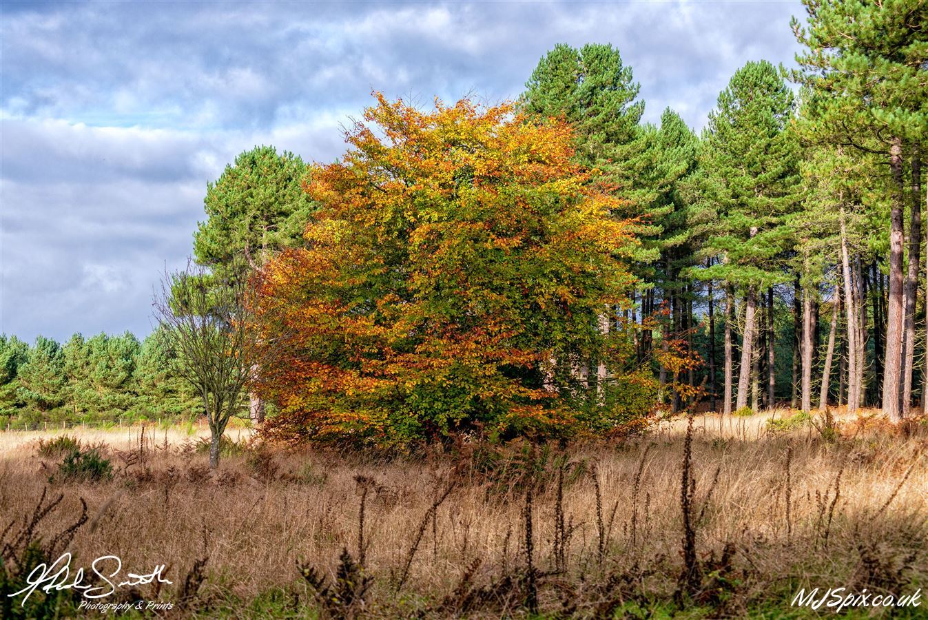 Photography by Malcolm J Smith