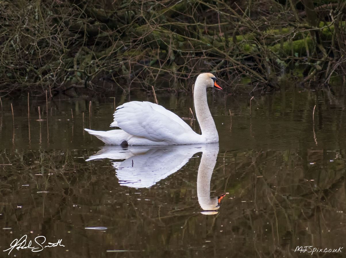 Photography by Malcolm J Smith